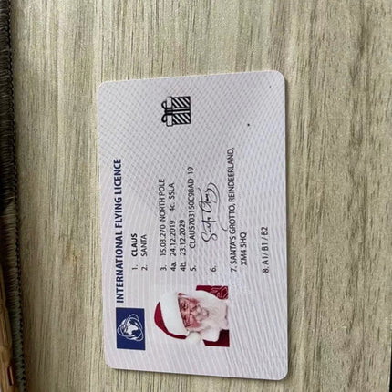 Christmas Gift For Children Sled Driving License