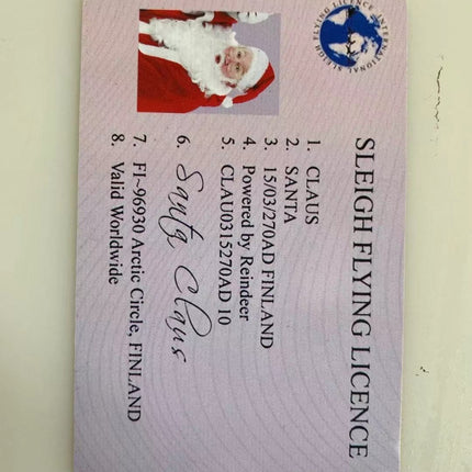 Christmas Gift For Children Sled Driving License