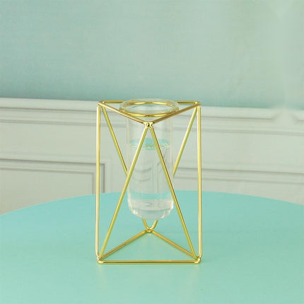 Hydroponic Glass Vase