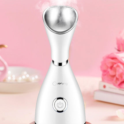 Household steamer