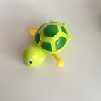 Green turtle