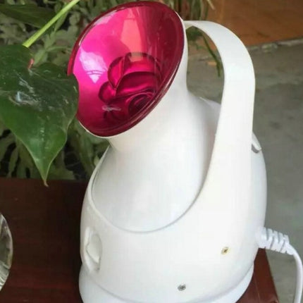 Humidifying steaming machine