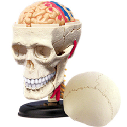 Puzzle assembly toys