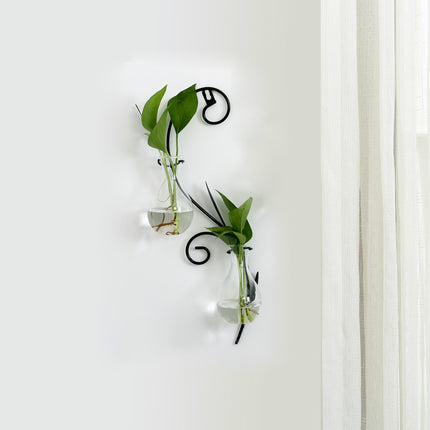 Transparent glass vase