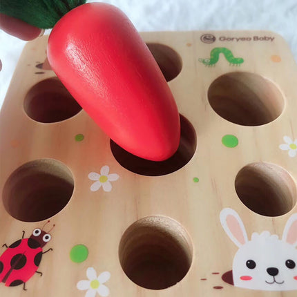Educational toys