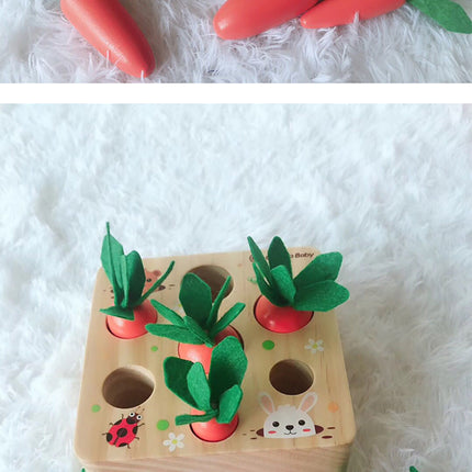Educational toys