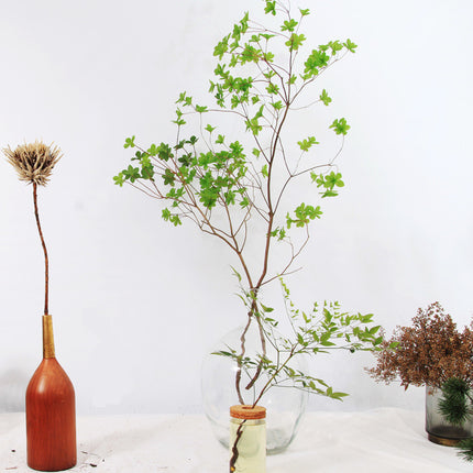 Japanese Bell Horse Drunk Wood Nantian Bamboo Nordic Style Simple Thin Mouth Big Belly Bottle Vase Transparent Indoor Flower Arranging Device