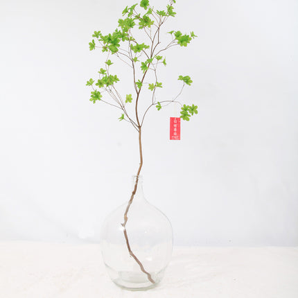 Japanese Bell Horse Drunk Wood Nantian Bamboo Nordic Style Simple Thin Mouth Big Belly Bottle Vase Transparent Indoor Flower Arranging Device