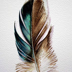B / 15x20cm