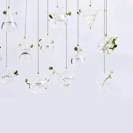 Hanging glass plant vase