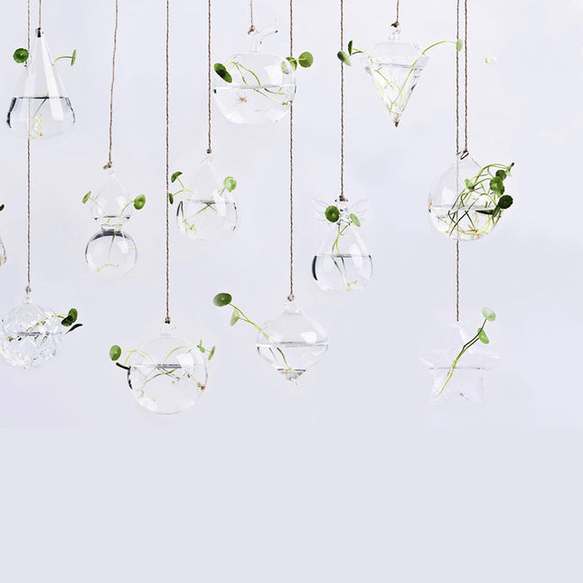 Hanging glass plant vase