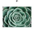 F / 15x20cm