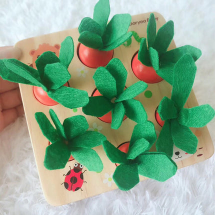 Educational toys