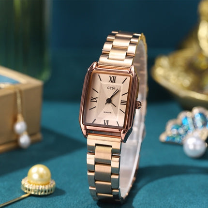 Classic Simple Square Watch Women's Affordable Luxury Fashion High-grade Korean Style All-match Steel Belt