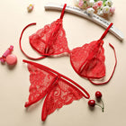 Plus size transparent lace thong