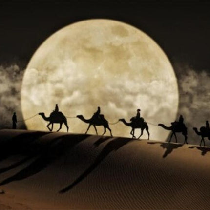 Desert Moon Night Wall Art Poster Canvas Painting