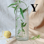 Y