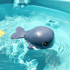Whale dark blue