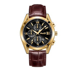 Gold Shell Black Surface