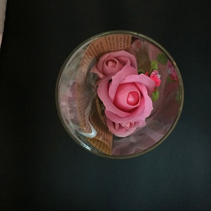 Permanent Flower Cylinder Cork Glass Vase Wish Dry Flower Diy Vase Desktop Decoration