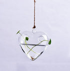 Hanging glass plant vase