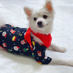 Picture color / Dog S