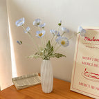 Pingkou Yu Meiren 3 Light Blue
