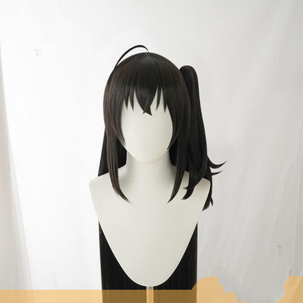 Dress cosplay wig fake hair