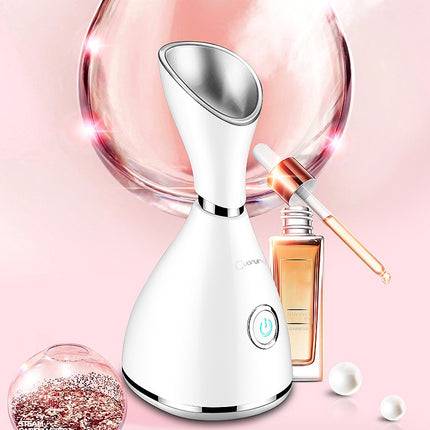 Household steamer
