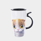 Yellow cat