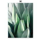 H / 15x20cm