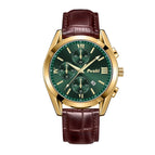 Gold Shell Green Surface