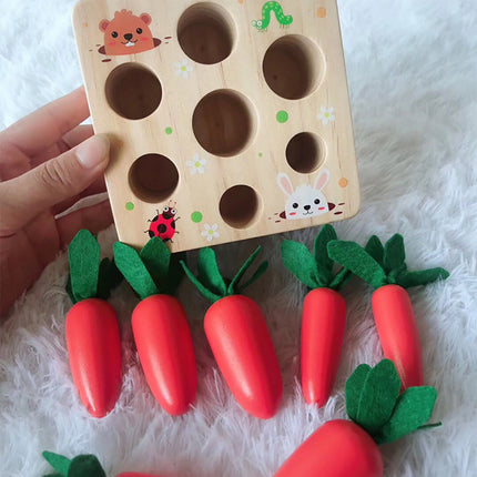 Educational toys