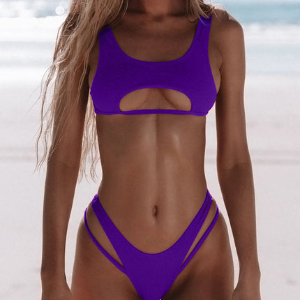 Bikini Women's Solid Color Split Swimsuit Hollow Snake Fabric Swimwear