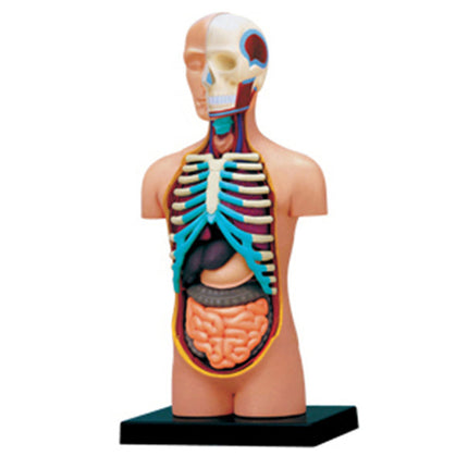 Puzzle assembly toys