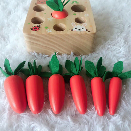 Educational toys