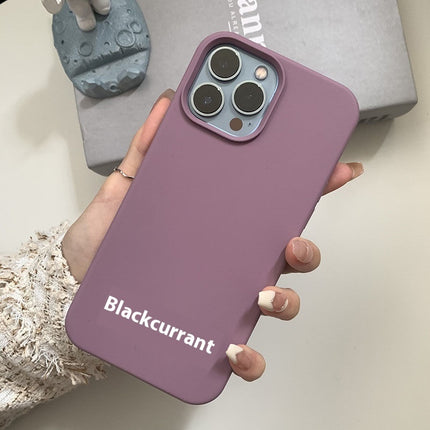 Liquid Silicone 16 Lens All-inclusive Phone Case