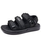 Black sole 2213