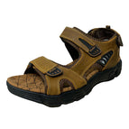 8237 Dark Brown