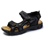 8237 Black