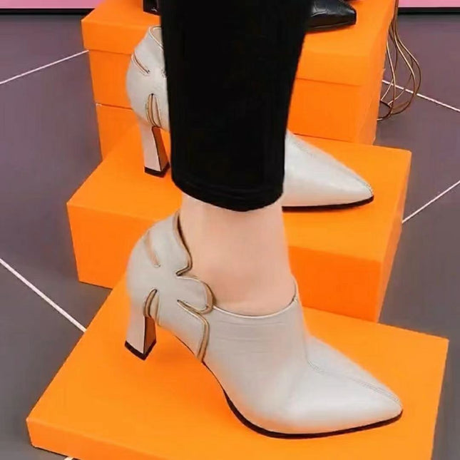 Thick Heel Deep Mouth Pointed Stylish Shoes