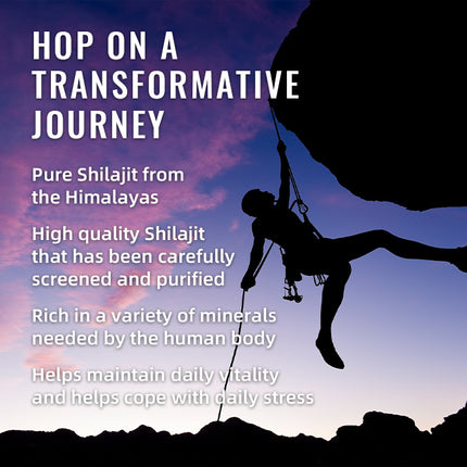 BSYS SHILAJIT GUMMIES 60'S