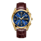 Gold Shell And Blue Surface