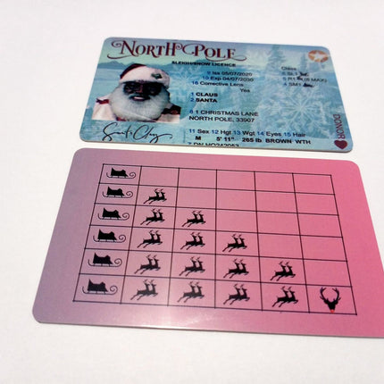 Christmas Gift For Children Sled Driving License