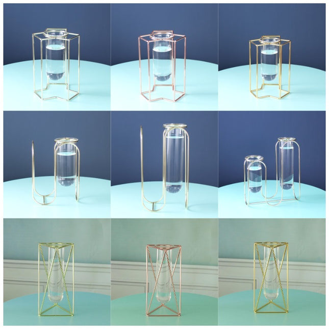Hydroponic Glass Vase