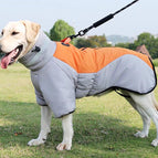 Grey orange