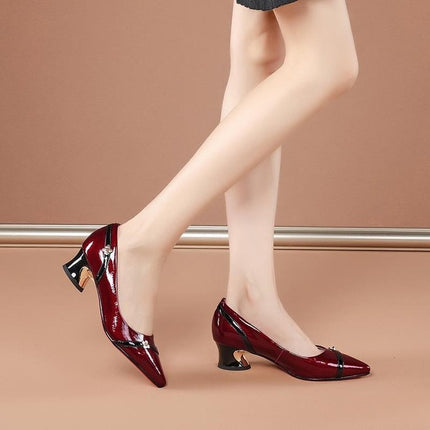 Women's Chunky Heel Temperament Wild Pointed Toe Shoes