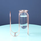 Rose Gold / C