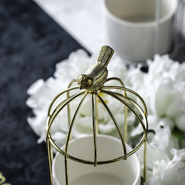 Light Luxury Iron Art Succulent Flower Pot Gilded Bird Cage Iron Frame Vase