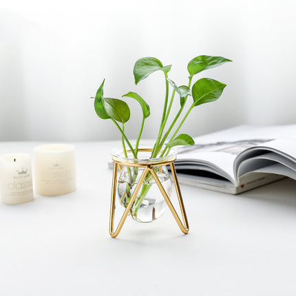 Decorated With Hydroponic Vase Decoration Living Room Dining Table Small  Creative Metal Decoration Glass Test Tube